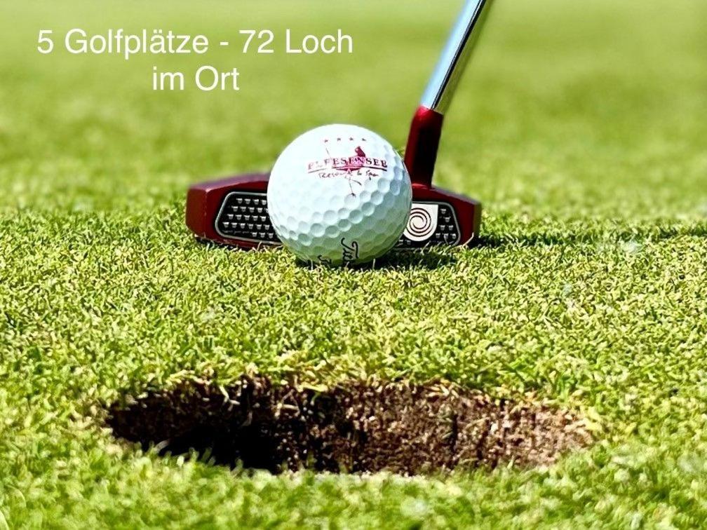 Apartment Seensucht Mueritz Og Links